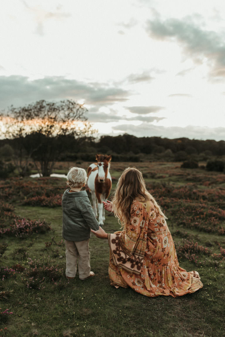 family photographer devon shoot The back of Mum and Little boy as they call a wild horse to them